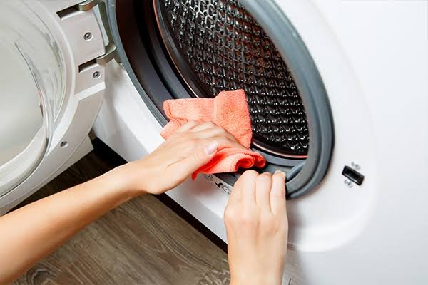 Washing Machine Mold and Mildew-How to Clean and Prevent-Growth
